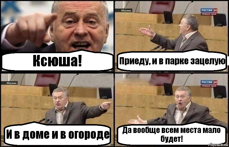 Ксюша! Приеду, и в парке зацелую И в доме и в огороде Да вообще всем места мало будет!, Комикс Жириновский