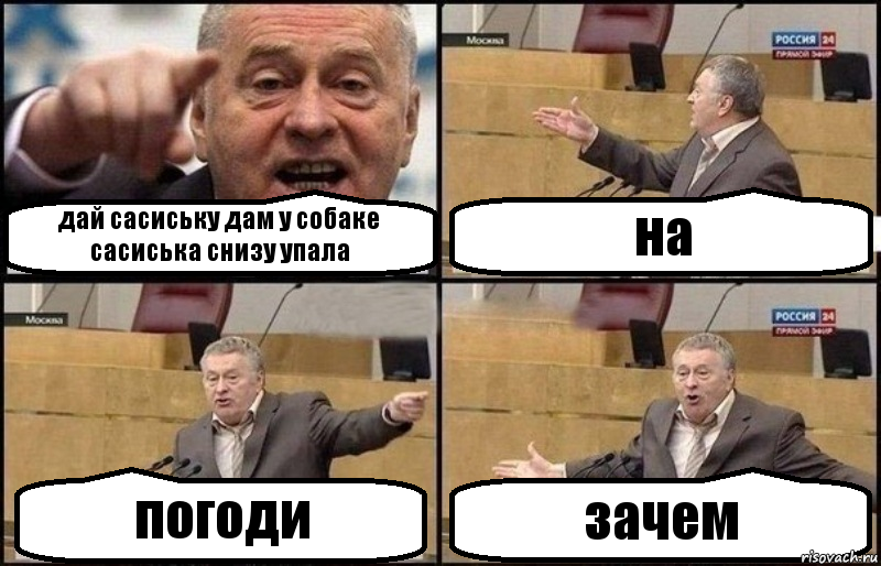 дай сасиську дам у собаке сасиська снизу упала на погоди зачем, Комикс Жириновский