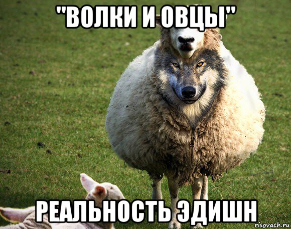 "волки и овцы" реальность эдишн, Мем Злая Овца