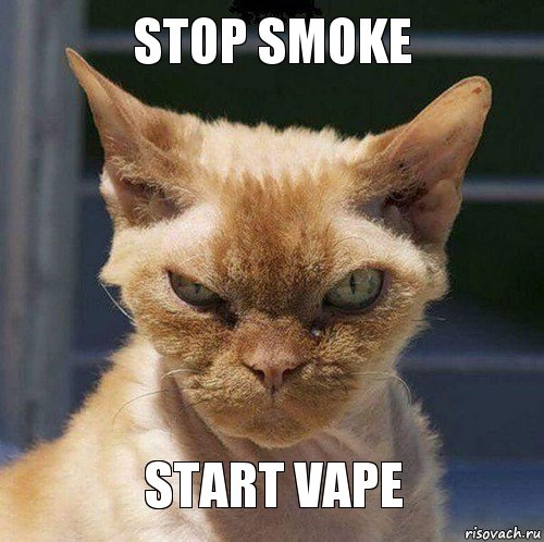 Stop smoke Start vape, Комикс  злой кот