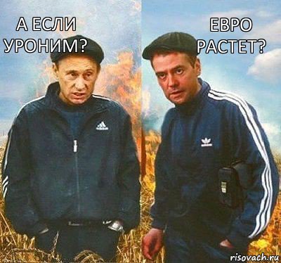 Евро растет? А если уроним?