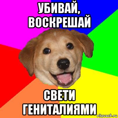 убивай, воскрешай свети гениталиями, Мем Advice Dog