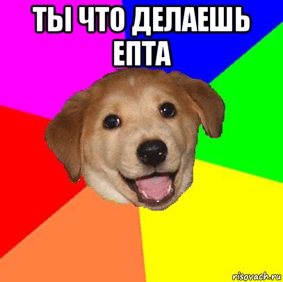 ты что делаешь епта , Мем Advice Dog