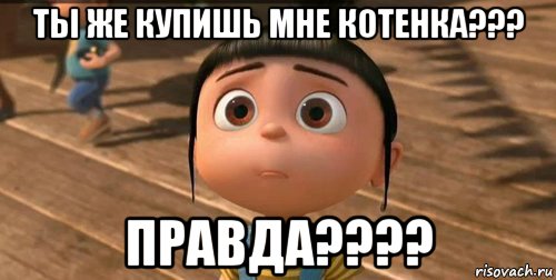 ты же купишь мне котенка??? правда????, Мем    Агнес Грю