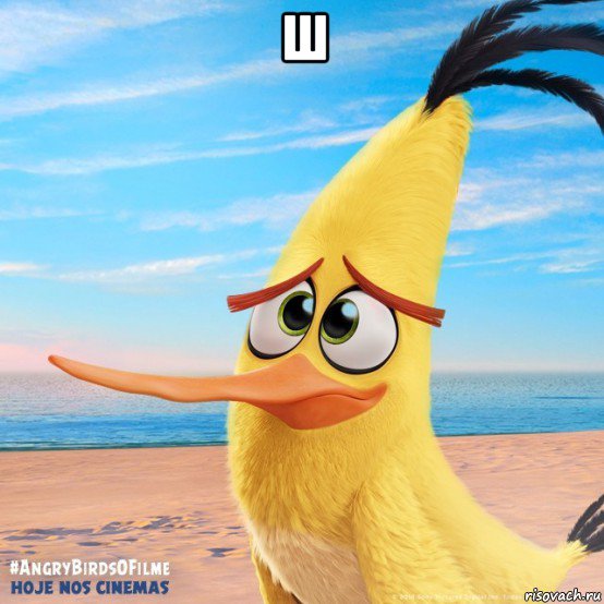 ш 