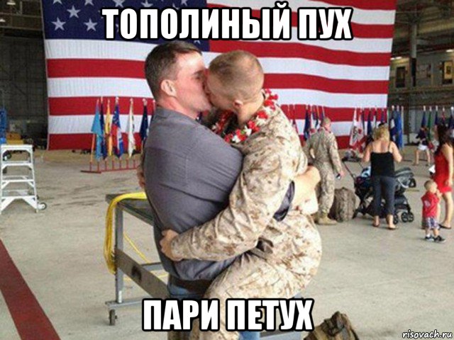 тополиный пух пари петух