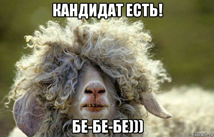 кандидат есть! бе-бе-бе)))