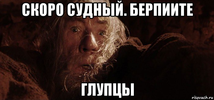 скоро судный. берпиите глупцы, Мем Бегите глупцы