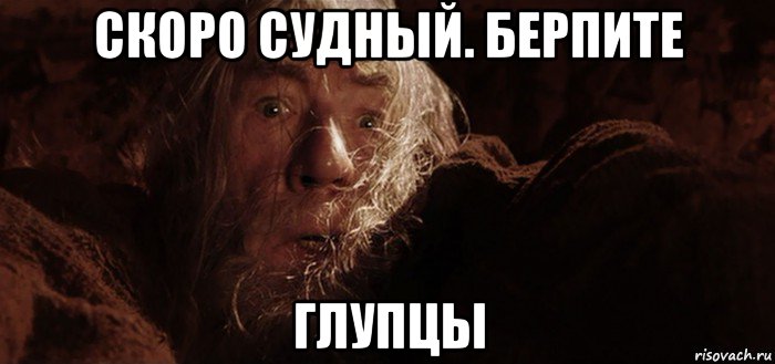 скоро судный. берпите глупцы, Мем Бегите глупцы