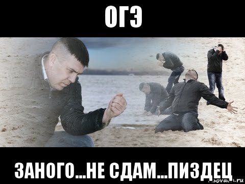 огэ заного...не сдам...пиздец, Мем Брестский мужик