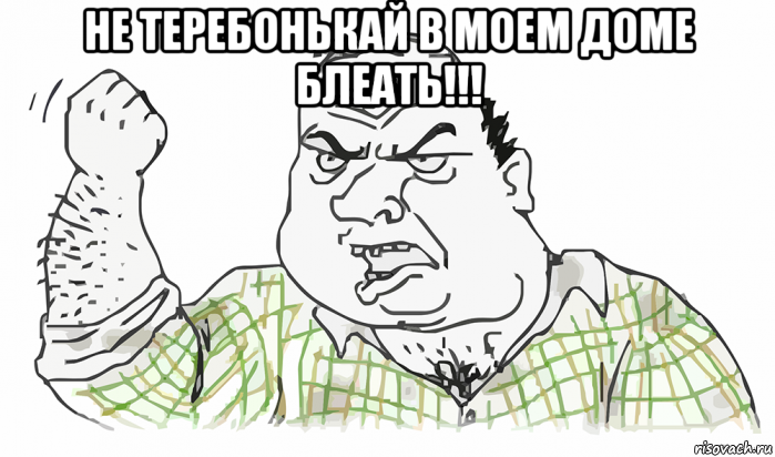 не теребонькай в моем доме блеать!!! , Мем Будь мужиком