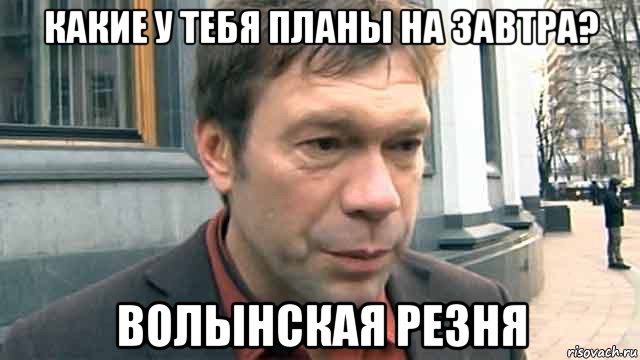какие у тебя планы на завтра? волынская резня, Мем Царев