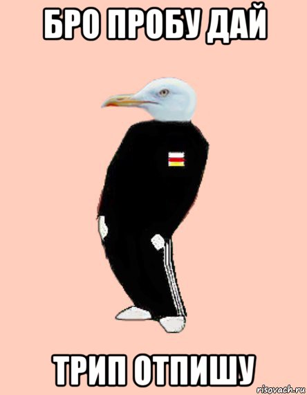 бро пробу дай трип отпишу
