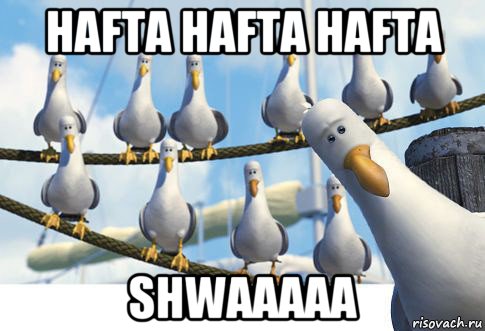 hafta hafta hafta shwaaaaa