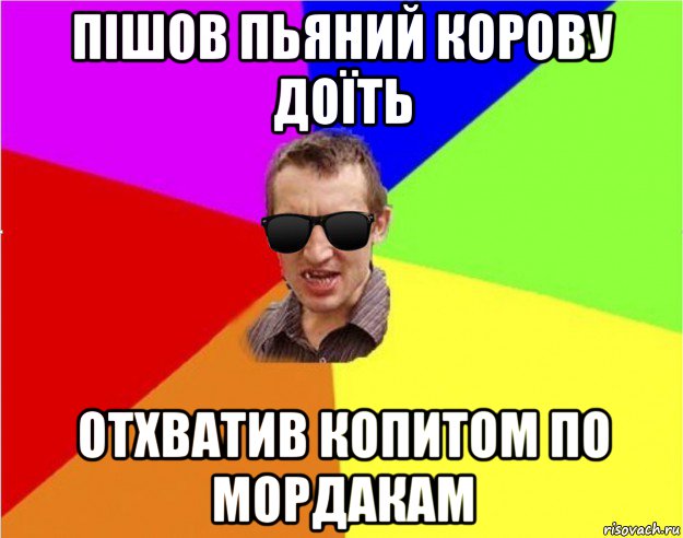 пішов пьяний корову доїть отхватив копитом по мордакам, Мем Чьоткий двiж