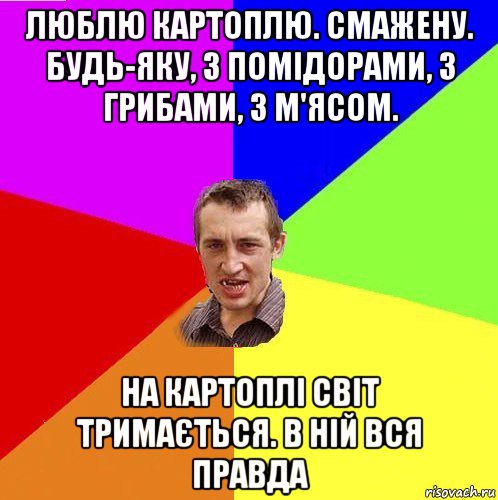 люблю картоплю. смажену. будь-яку, з помідорами, з грибами, з м'ясом. на картоплі світ тримається. в ній вся правда