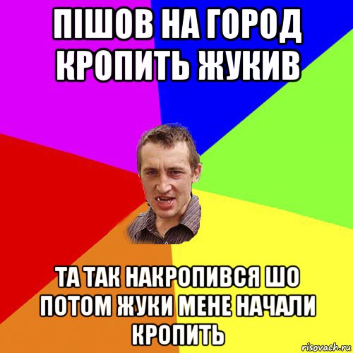 пішов на город кропить жукив та так накропився шо потом жуки мене начали кропить, Мем Чоткий паца