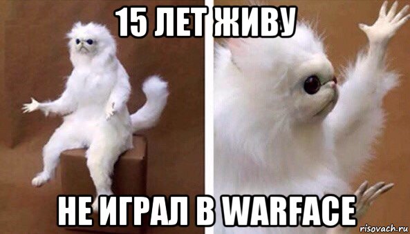 15 лет живу не играл в warface, Мем Чучело кота