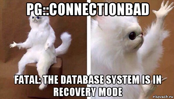 pg::connectionbad fatal: the database system is in recovery mode, Мем Чучело кота