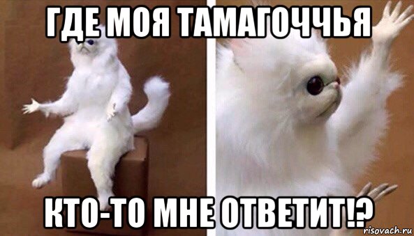 где моя тамагоччья кто-то мне ответит!?, Мем Чучело кота