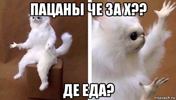 пацаны че за х?? де еда?, Мем Чучело кота