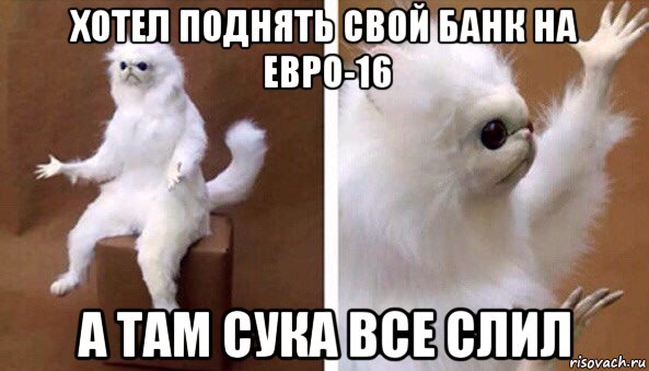 хотел поднять свой банк на евро-16 а там сука все слил, Мем Чучело кота