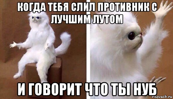 когда тебя слил противник с лучшим лутом и говорит что ты нуб, Мем Чучело кота