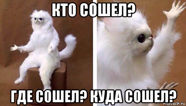 кто сошел? где сошел? куда сошел?, Мем Чучело кота