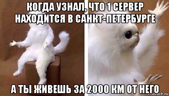 когда узнал, что 1 сервер находится в санкт-петербурге а ты живешь за 2000 км от него, Мем Чучело кота