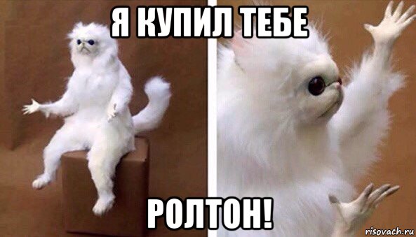 я купил тебе ролтон!, Мем Чучело кота