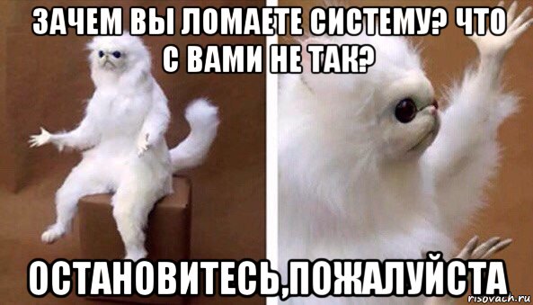 зачем вы ломаете систему? что с вами не так? остановитесь,пожалуйста, Мем Чучело кота