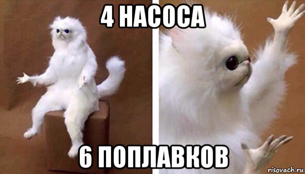 4 насоса 6 поплавков, Мем Чучело кота