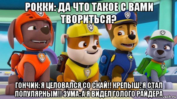 рокки: да что такое с вами твориться? гончик: я целовался со скай!! крепыш: я стал популярным!! зума: а я видел голого райдера