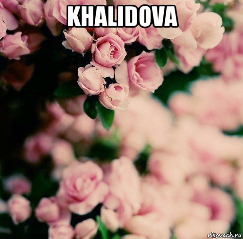 khalidova , Мем цветы