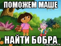 поможем маше найти бобра, Мем Даша следопыт