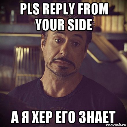 pls reply from your side а я хер его знает, Мем   дауни фиг знает