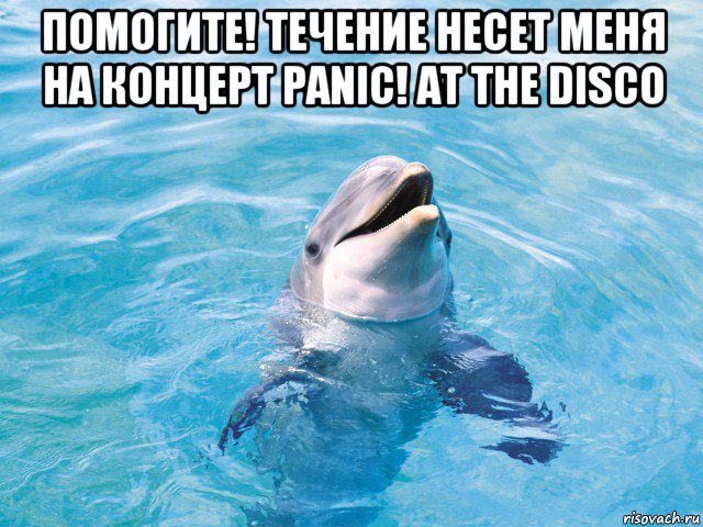 помогите! течение несет меня на концерт panic! at the disco , Мем Дельфин