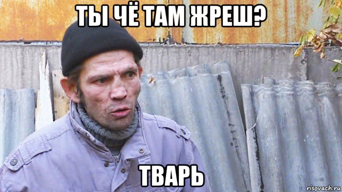 ты чё там жреш? тварь, Мем  Дичь