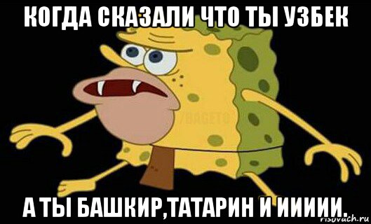 когда сказали что ты узбек а ты башкир,татарин и иииии., Мем Дикий спанч боб