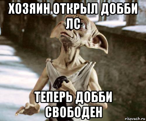 хозяин открыл добби лс теперь добби свободен