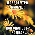 доброе утро, милаш! как спалось? родная, Мем Доброе утро Иришка