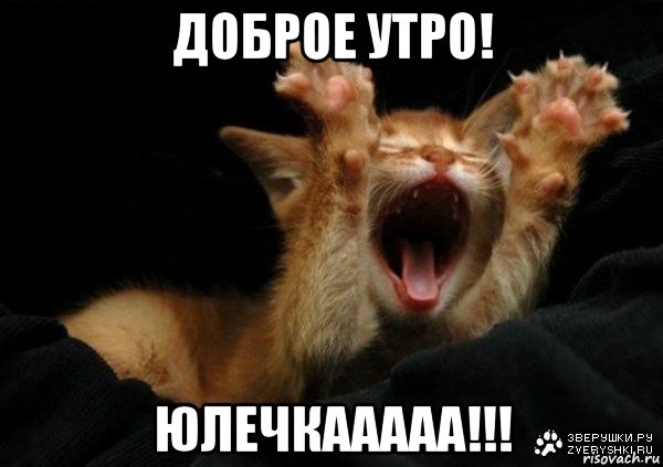 доброе утро! юлечкааааа!!!