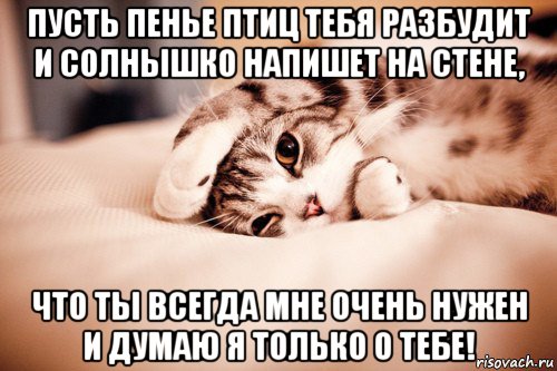 пусть пенье птиц тебя разбудит и солнышко напишет на стене, что ты всегда мне очень нужен и думаю я только о тебе!