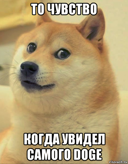 то чувство когда увидел самого doge, Мем doge woof