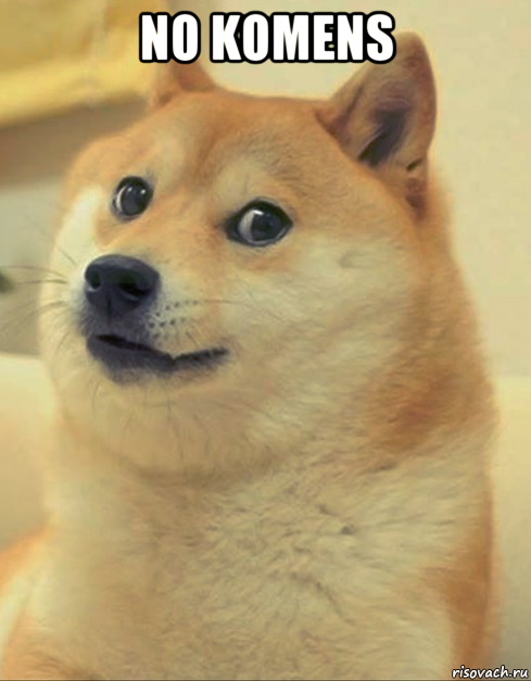 no komens , Мем doge woof