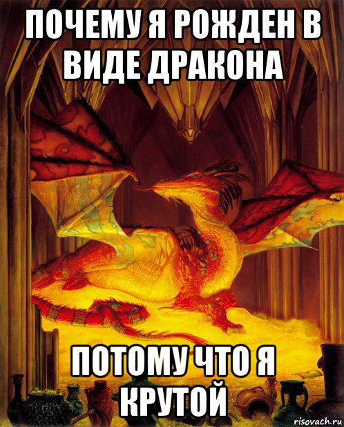 почему я рожден в виде дракона потому что я крутой