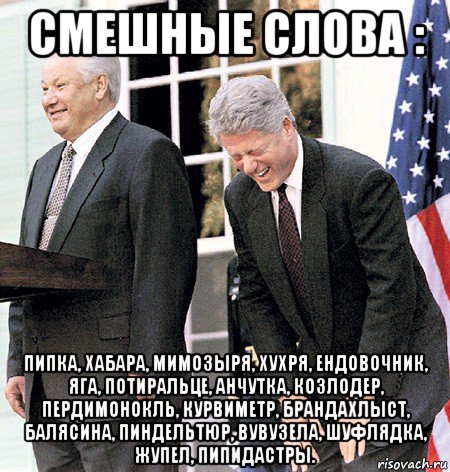 смешные слова : пипка, хабара, мимозыря, хухря, ендовочник, яга, потиральце, анчутка, козлодер, пердимонокль, курвиметр, брандахлыст, балясина, пиндельтюр, вувузела, шуфлядка, жупел, пипидастры.