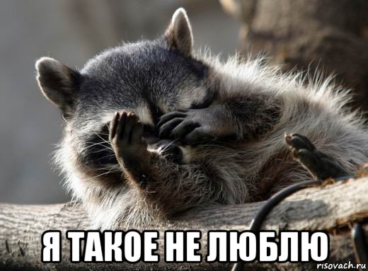  я такое не люблю, Мем енот такой енот