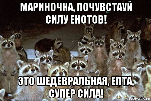 мариночка, почувстауй силу енотов! это шедевральная, епта, супер сила!, Мем Еноты они повсюду