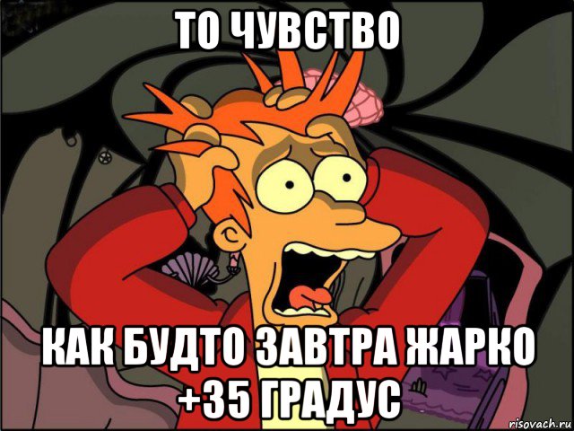 то чувство как будто завтра жарко +35 градус, Мем Фрай в панике